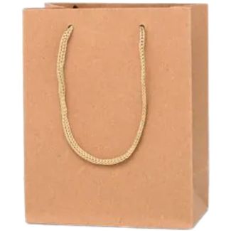 Brown Kraft Paper Gift Bag - 24x19x8cm