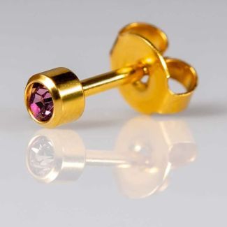 Caflon Blu Regular Gold January Garnet Birthstone Ear Piercing Studs