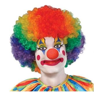 Coloured Clown Rainbow Wig 