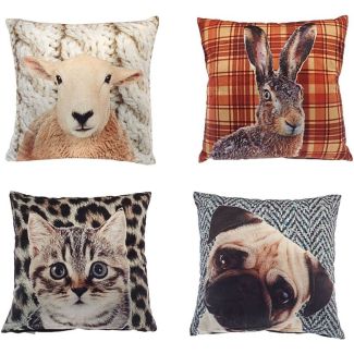 Digital Print Filled Cushions (43x43cm) - Assorted 
