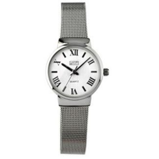 Eton Ladies Mesh Bracelet Watch – Chrome