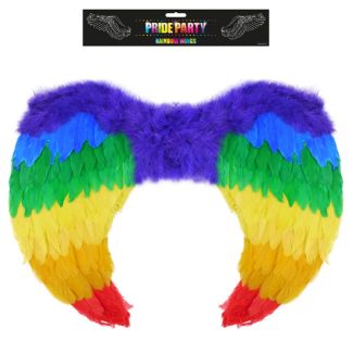 Feather Rainbow Wings