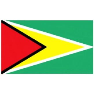 Guyana Flag - 5ft x 3ft