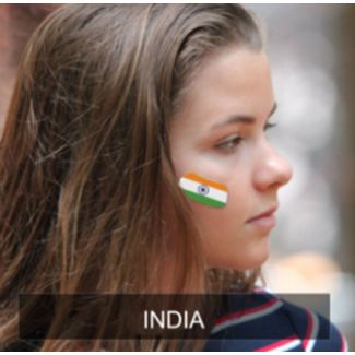 wholesale India Flag Face Sticker - Pack of 2 Stickers 