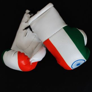 Mini Boxing Gloves - India