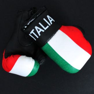 Mini Boxing Gloves - Italia
