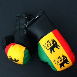 Mini Boxing Gloves - Lion On Rasta