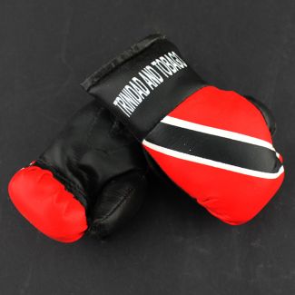 Mini Boxing Gloves - Trinidad and Tobago