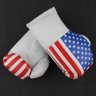 Mini Boxing Gloves - United States of America