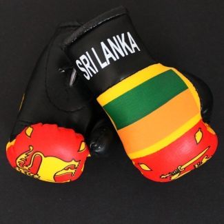 Mini Boxing Gloves - Sri Lanka