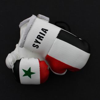 Mini Boxing Gloves - Syria
