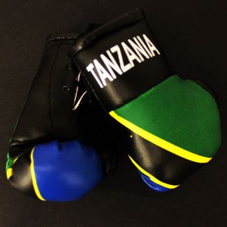Mini Boxing Gloves - Tanzania