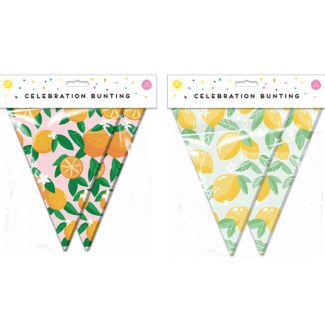 Summer Party Fruit Bunting - Assorted