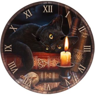 Ladies Novelty Wellington Boot Socks (1 Pair) - Assorted