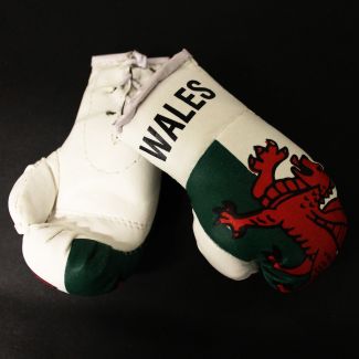 Mini Boxing Gloves - Wales