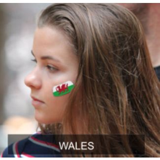wholesale Wales Flag Face Sticker - Pack of 2 Stickers 