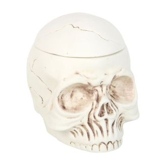 Weathered Skull Oil Burner and Wax Warmer