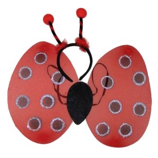 Ladybird Wings & Deely Bopper Set 