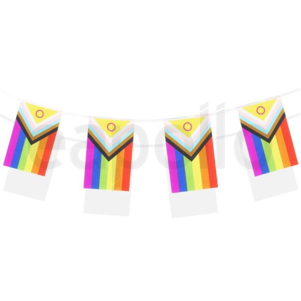 4.5m Pride LGBTQ+ Flag Bunting with 15 rectangular flags
