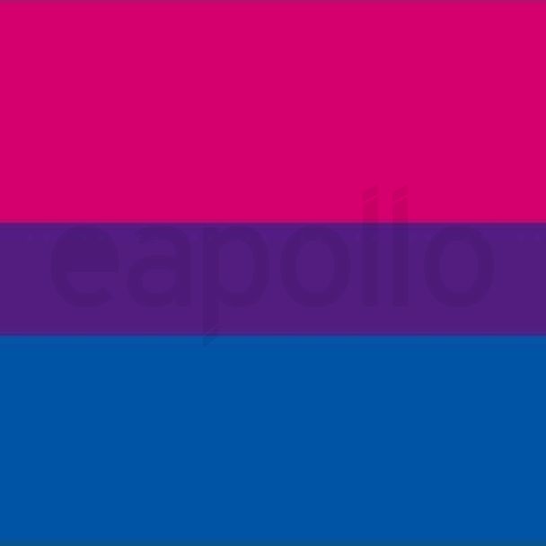 Bisexual Flag Bandana 