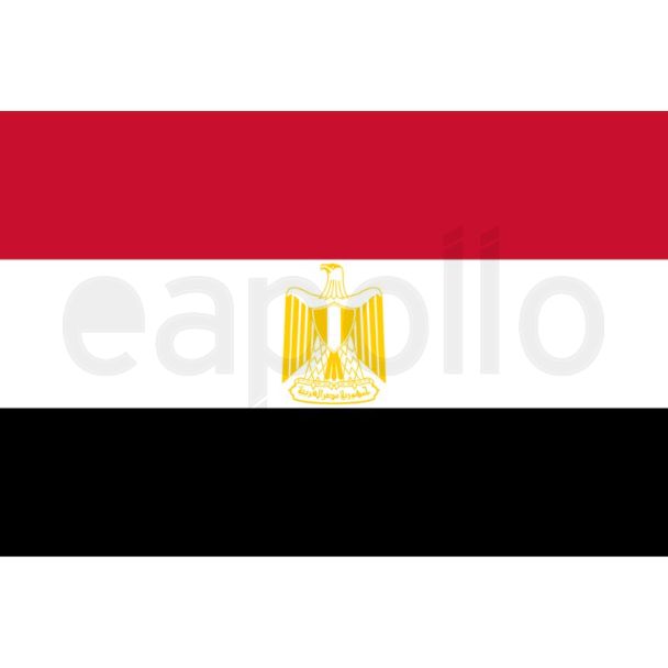 Egypt Flag 5ft x 3ft