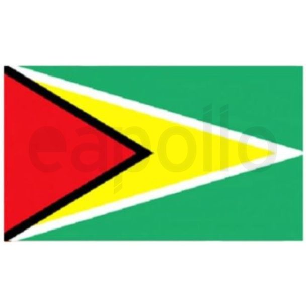 Guyana Flag - 5ft x 3ft