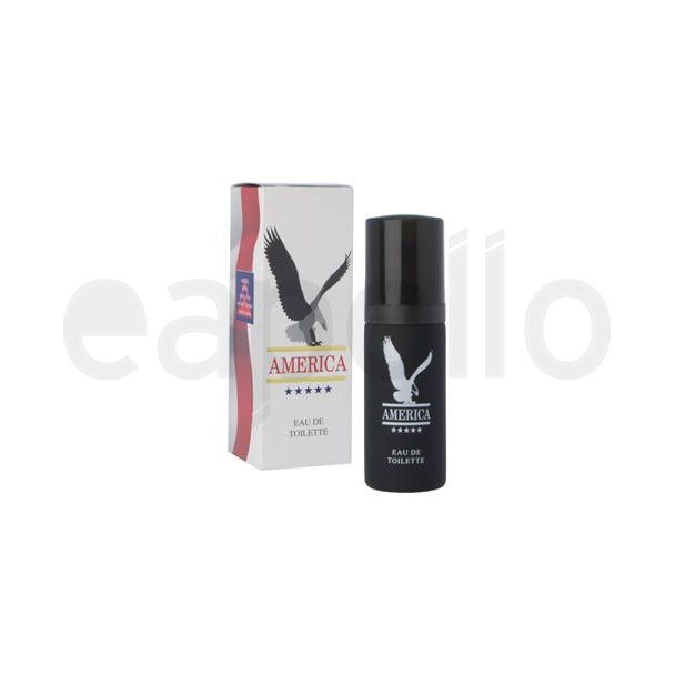 Milton Lloyd Men's Perfume - America (50ml EDT)