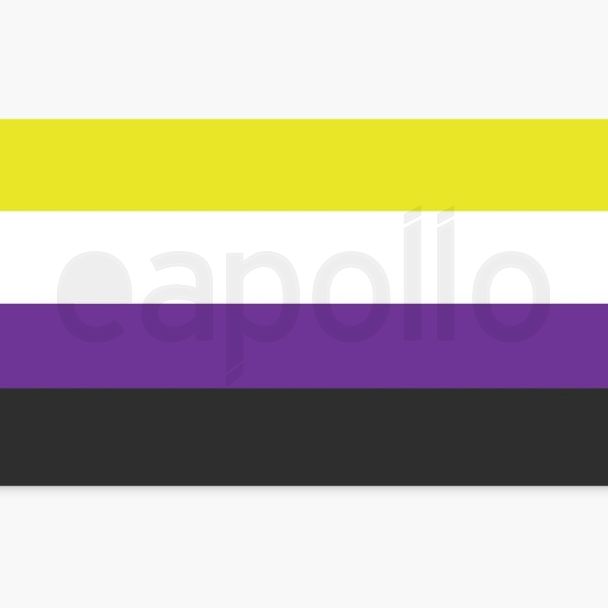Wholesale Non-Binary Flag - 5ft x 3ft