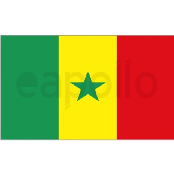 Senegal Flag 5ft x 3ft