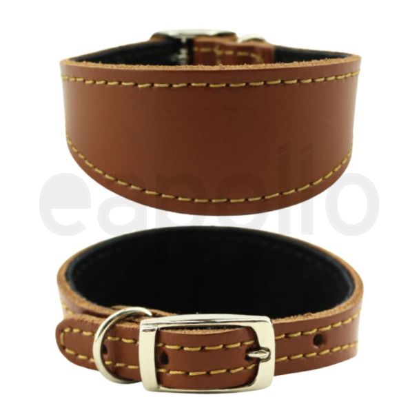Genuine Leather Dog Collar 1.5" Wide Italian Greyhound -