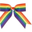 Party Pride Rainbow Hair Clip Bow