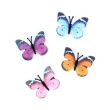 Fabric Butterfly with Black Beak Clip  - Assorted - 4.5cm
