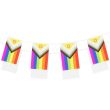 4.5m Pride LGBTQ+ Flag Bunting with 15 rectangular flags