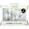 Confetti Balloons 5pcs