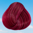 Directions Semi Permanent Hair Colour - Tulip