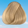 Directions Semi Permanent Hair Colour - White Toner