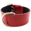 Extra Wide Bull Terrier Leather Collar-Red (16-19'')