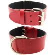 Extra Wide Bull Terrier Leather Collar-Red (16-19'')