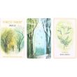 Nature-Inspired Forest Oracle Card