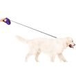 Retractable Dog Lead - 5 Metre