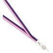 Silver Whistle With Lanyard - Genderfluid
