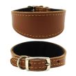 Genuine Leather Dog Collar 1.5" Wide Italian Greyhound -
