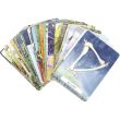 The Witches' Wisdom Tarot Cards Standard Edition by Phyllis Curott