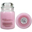 Yankee Fairy Floss Jar Candle - 538g
