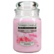 Yankee Fairy Floss Jar Candle - 538g