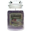 Yankee Scented Jar Candle - Patisserie Treat (538g)