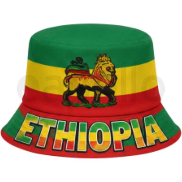 Adult Lion Ethiopian Print Bucket Hat