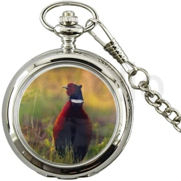 BOXX Grouse Bird Pocket Watch With Chain - Silver