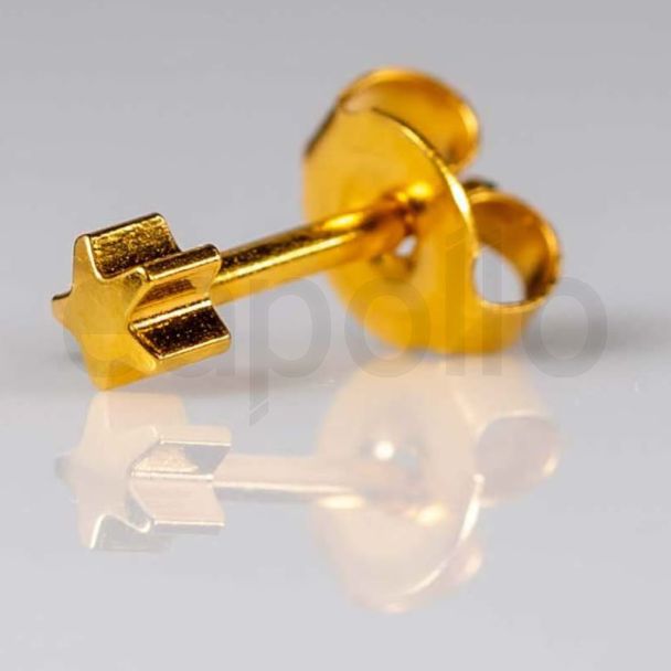 Caflon Blu Regular Gold Star Shaped Ear Piercing Studs