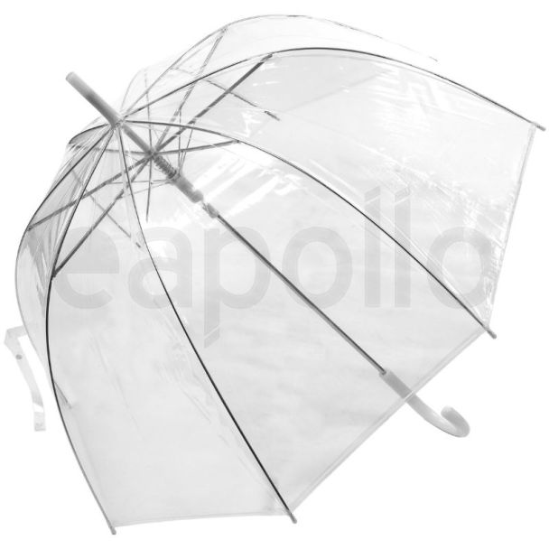 Clear Dome Umbrella With Crook Handle